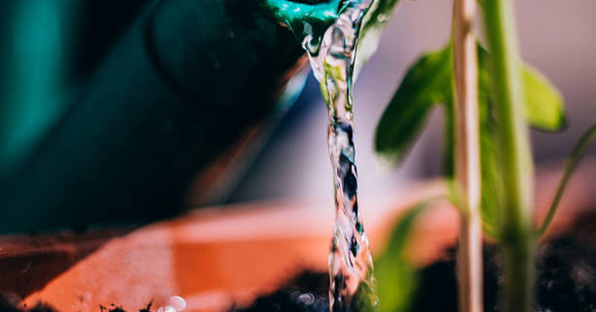 La Inteligencia Artificial ChatGPT consume litros de agua al generar un ...