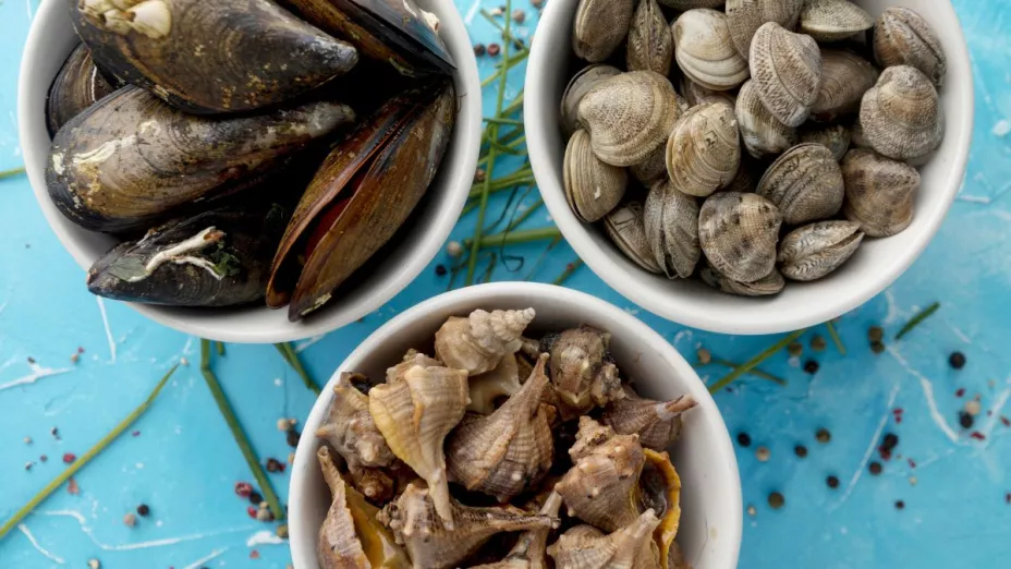 ¿Qué mariscos de Baja California están prohibidos y no recomiendan comer por Marea Roja