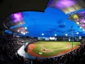 ESTADIO EDUARDO VASCONCELOS
