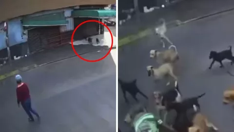 La agresión ocurrió cuando la señora cruzaba esta calle la mañana del 9 de enero