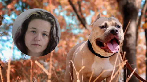 Mujer ata a su hijo de 6 años a un árbol para que un pitbull lo ataque; ¿qué se sabe sobre el caso?