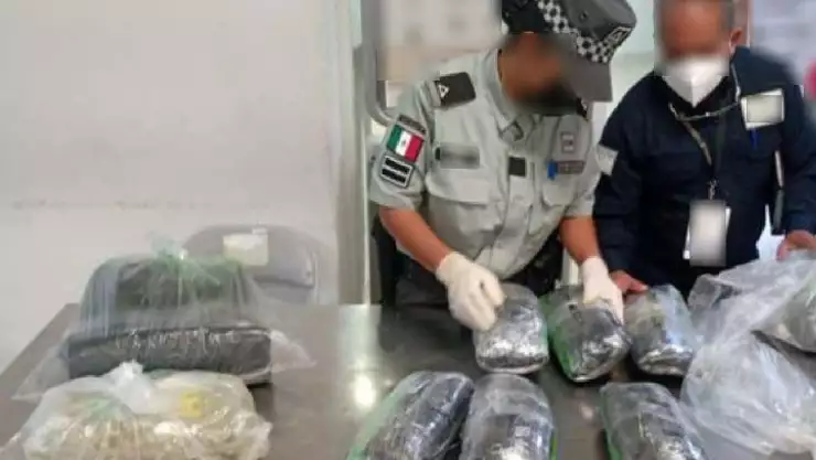 Detienen a pasajero en el Aeropuerto de Cancún por transportar droga?