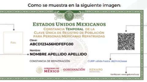CURP temporal