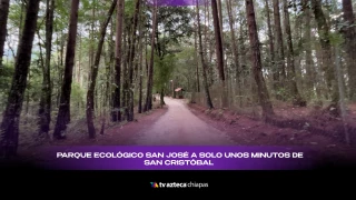 Portada Video Nota Sitio CHIAPAS.png