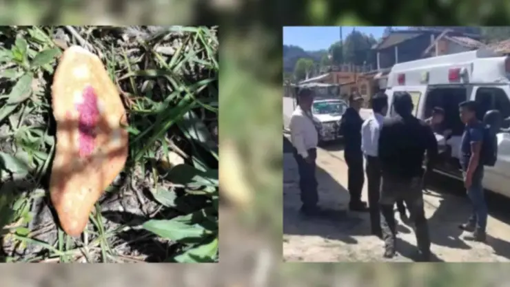 menores murieron por pan envenenado