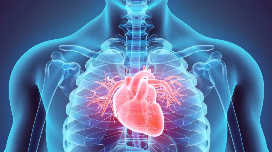 Corazón.jpg
