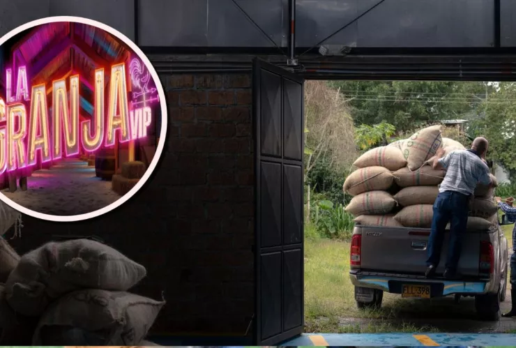 Trabajos de La Granja VIP ideales para los críticos, de Ferka a Lola Cortés.