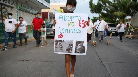 Realizan marcha en pro de los derechos de animales en oaxaca