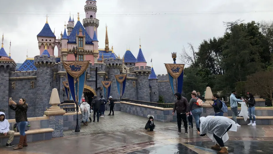 Disney_AP.jpg