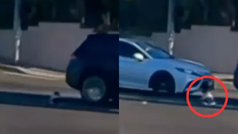 VIDEO ¡IMÁGENES SENSIBLES! Bebé cayó de una camioneta en movimiento en Estados Unidos