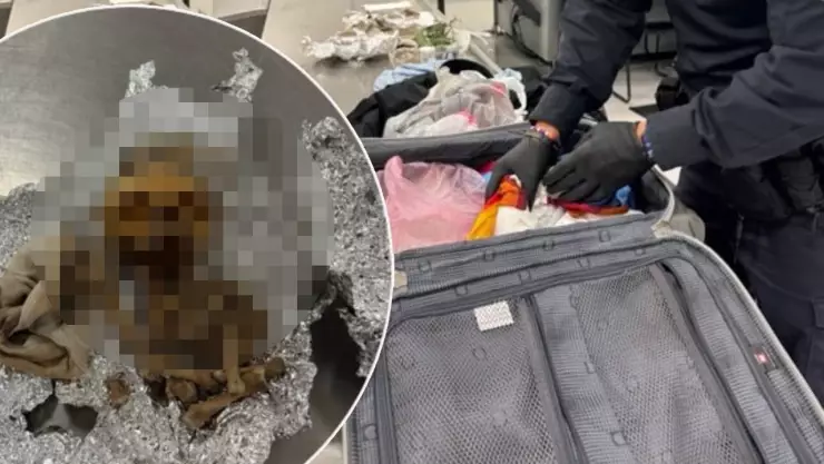 Restos humanos en maleta