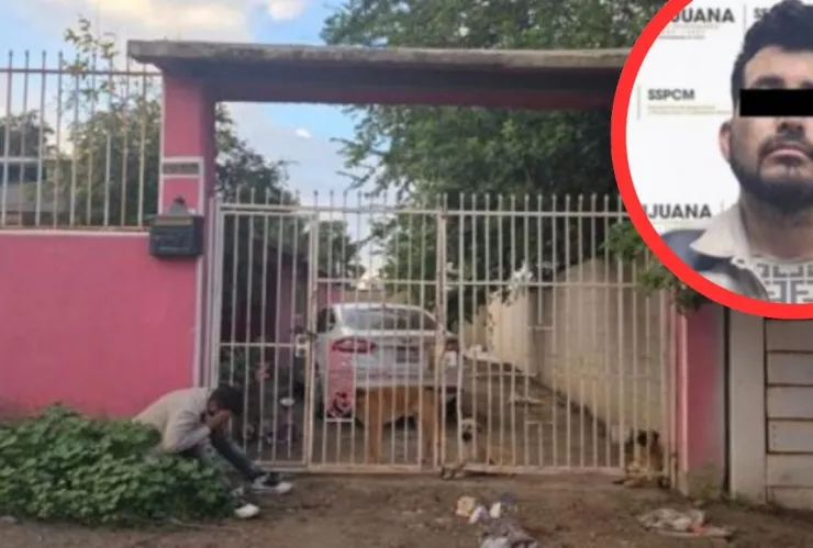 Ataque de perros deja a niño grave en Tijuana; padrastro es asegurado
