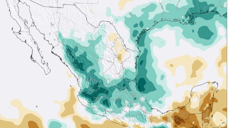 primavera chihuahua.jpg