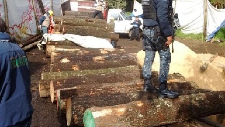 Profepa Ajusco