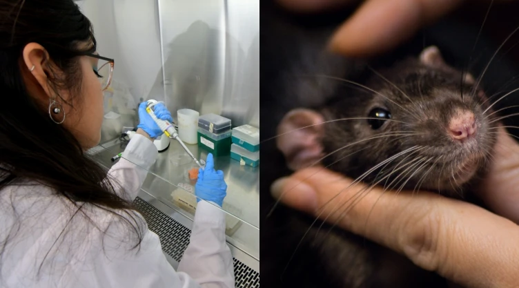 suiza medicos animales