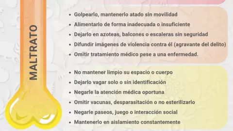 Violentometro animal - Signos de violencia de amarillo a naranja.