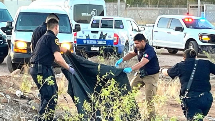 Perros atrapados en chapopote