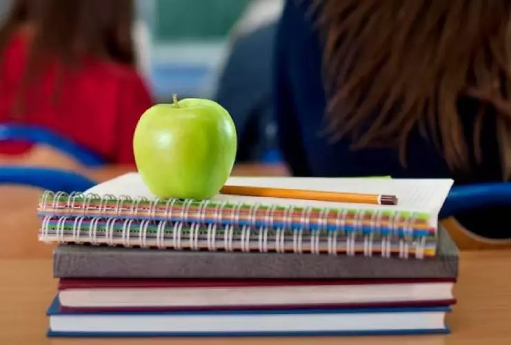 Polémica de libros de la SEP; enseñarán orientación sexual a los niños