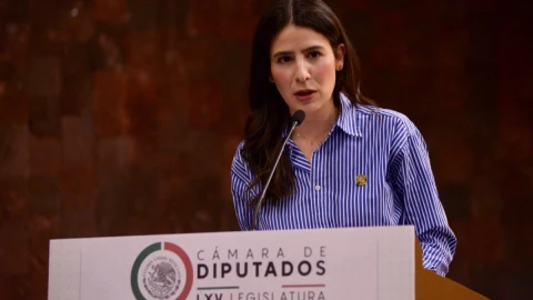 Partido Verde Alexis Gamiño reforma eléctrica