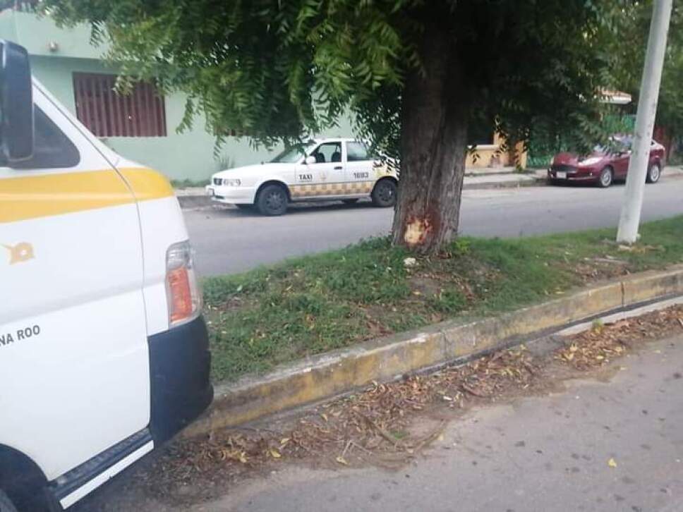 Combi se impacta contra un árbol en Chetumal