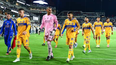 Tigres