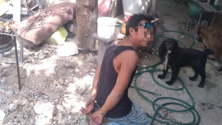 Playa del Carmen gato vecino cocinando