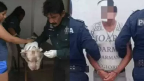 Detienen al hombre que macheteó a perro Pitbull en Progreso, Yucatán