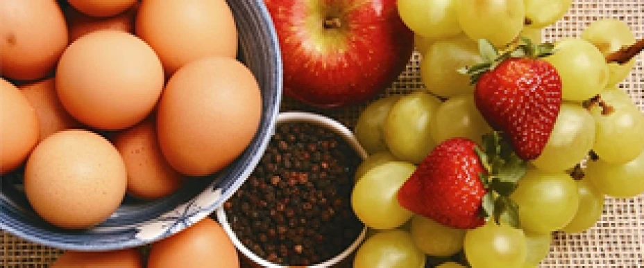 alimentos