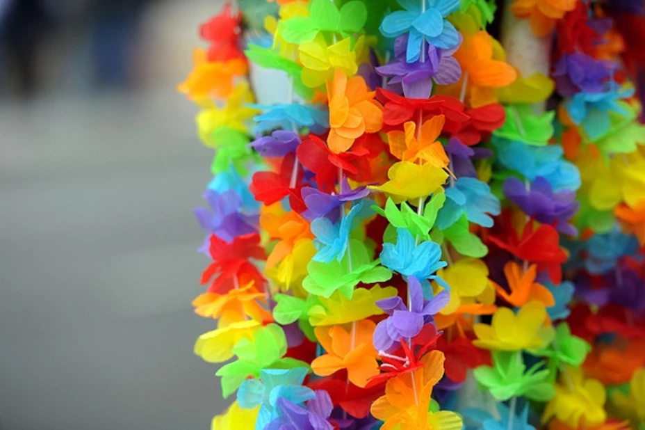 Arturo Arriaga Macías dijo que la homosexualidad daña a la familia.