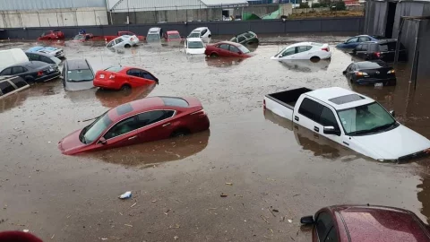 Lluvias provocan inundaciones y caída de árboles en Metepec