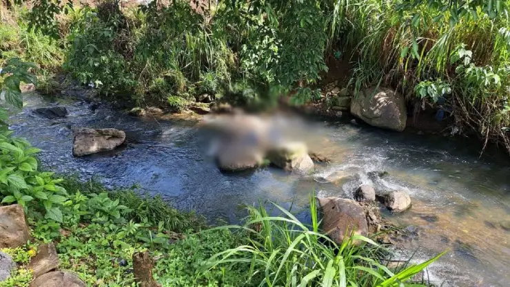 Hallan cuerpo sin vida de hombre en ejido San Miguelito, en Córdoba ¿Qué se sabe?