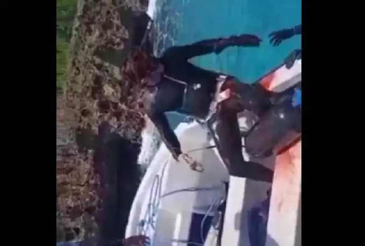 buzo colombiano es atacado por un tiburon