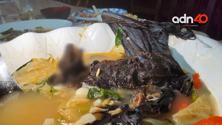 Youtuber come sopa de murci&eacute;lago