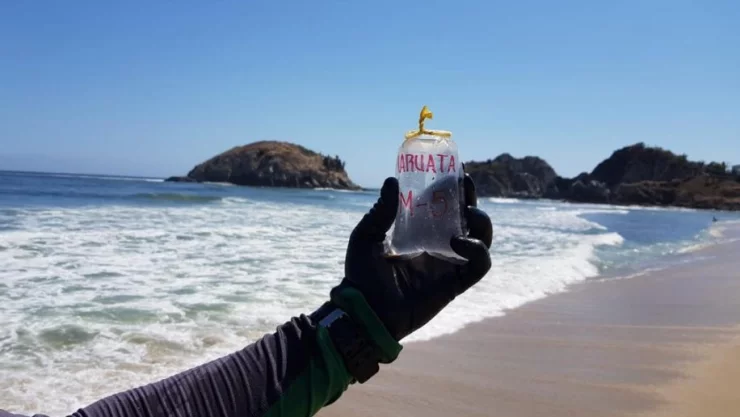 Semana Santa: Cofepris enlista las playas más contaminadas de México