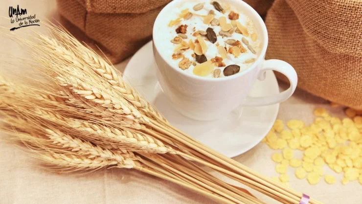 La producción de alimentos, el mayor desafío para la sustentabilidad global
