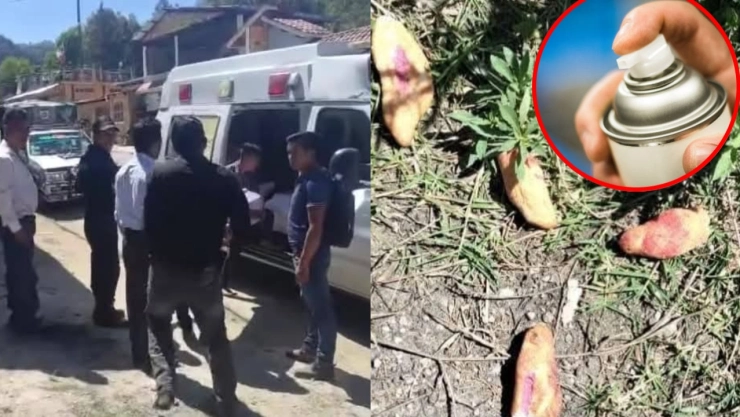 Niños envenenados en Chiapas pudieron morir por un insecticida y no por el pan