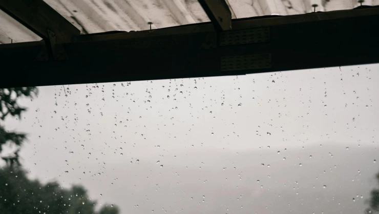 Lluvias en Jalisco lunes 5 enero 2025.jpg
