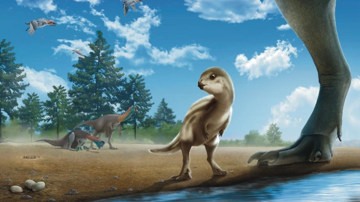 Doolysaurus huhmini: El nuevo dinosaurio hallado en Corea