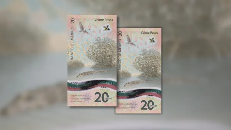 Dan hasta 6,000,000 por un par de billetes de 20 pesos con la imagen de la Reserva de la Biósfera Sian Ka’an.jpg
