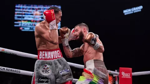 david benavidez vence a caleb plant box