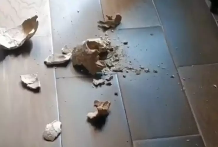 rompen cráneo prehispánico cholula