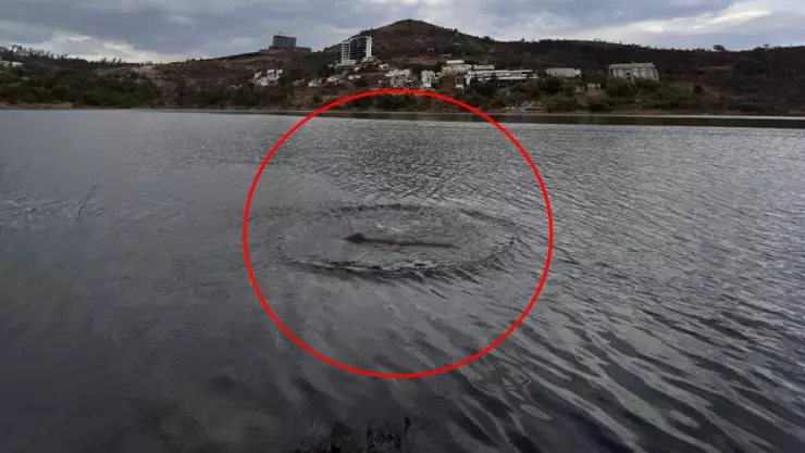 ¿Monstruo de Edomex? Captan supuesto dinosaurio en México