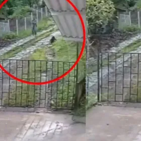 Hombre asesina a balazos a un perrito en Colombia.