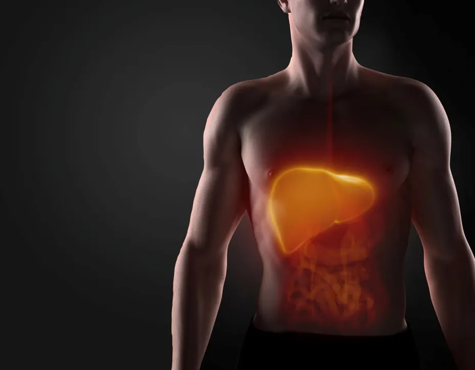 Cáncer de Hígado Flow 2023 ok.jpg