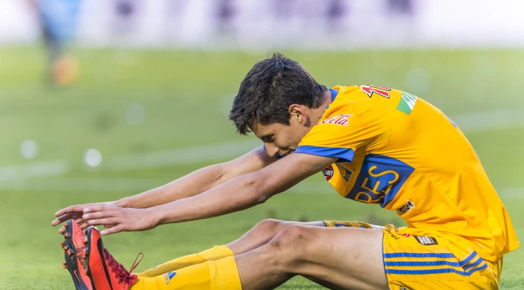 Jürgen Damm sale de Tigres