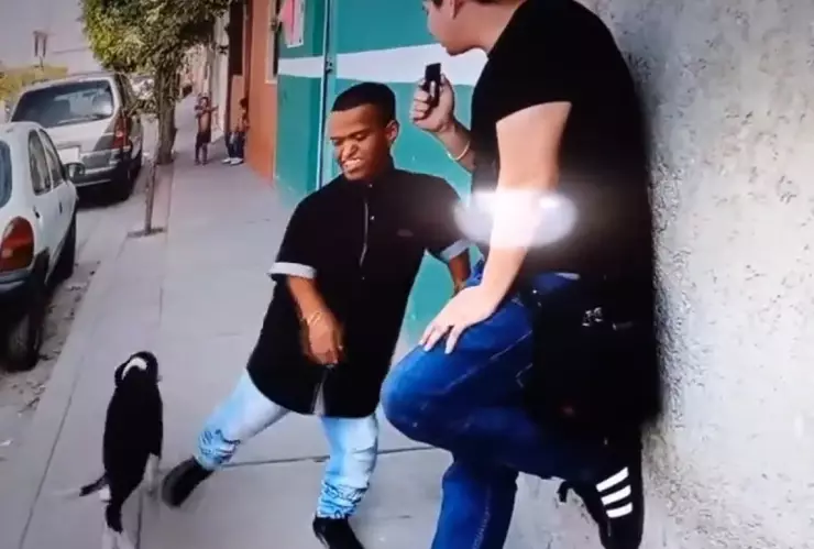 Medio Metro patea a un perro.