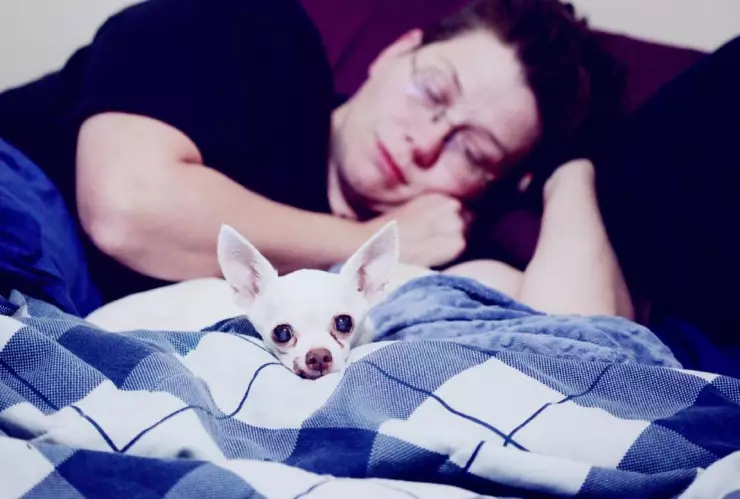 Depresión en Quintana Roo: Adolescentes y adultos mayores los más afectados