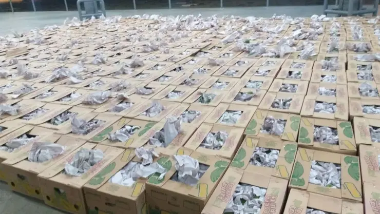 DROGAS-20MILLONES.jpg