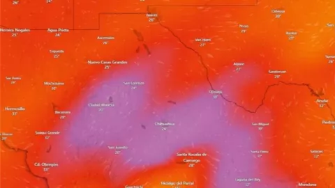 z - 2024-04-16T172245.879.jpg