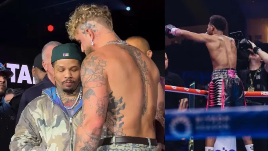jake paul gervonta davis shakur stevenson
